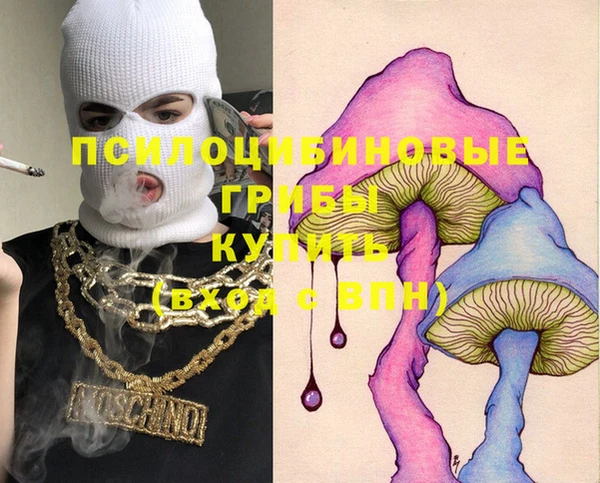 хмурый Бронницы