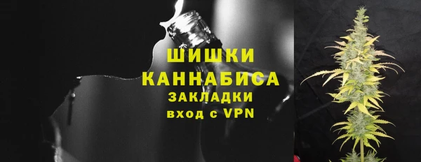 хмурый Бронницы