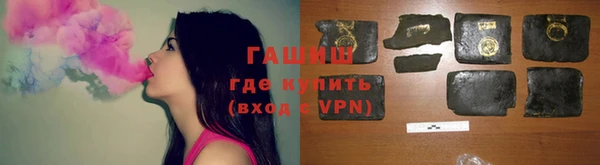 дживик Бородино