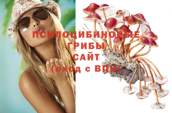 дживик Бородино