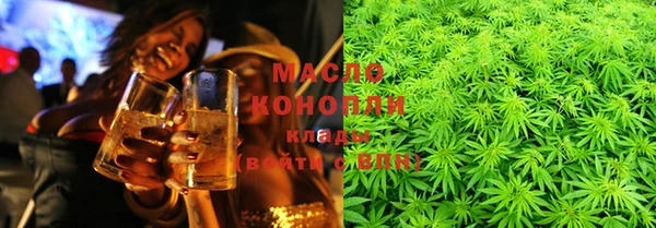 дживик Бородино