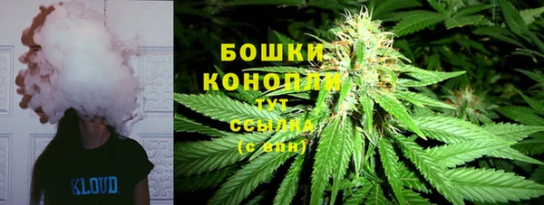 СК Волосово