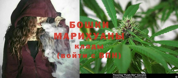 СК Волосово