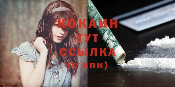дживик Бородино